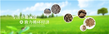 倪維斗院士：通過技術(shù)創(chuàng)新，大力發(fā)展超級能源生物質(zhì)燃料